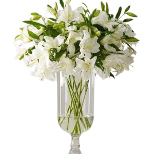 Perfect White Lilies (Option Pink Lily)